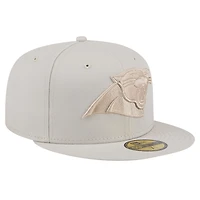 Casquette ajustée 59FIFTY New Era Stone Carolina Panthers pour hommes