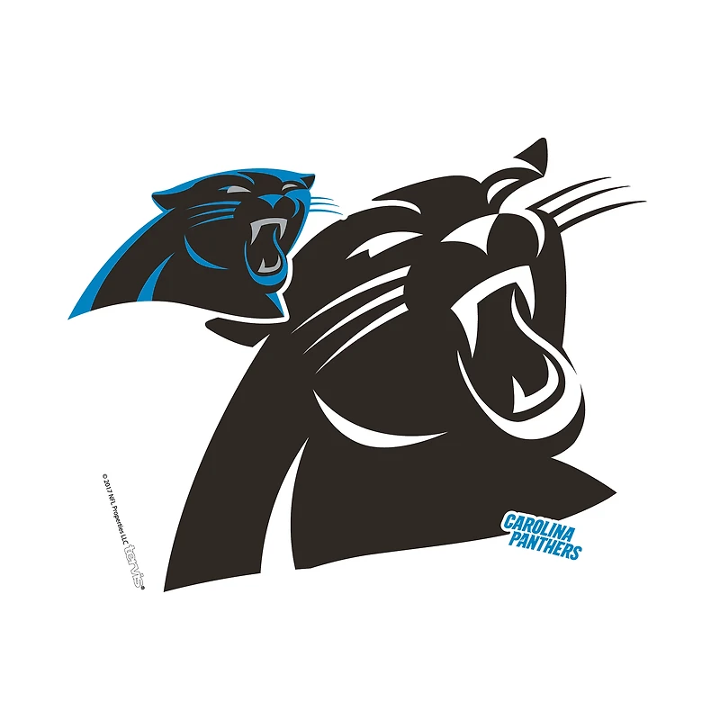 Tervis Carolina Panthers 24oz NFL 2 PACK Fan authentique et éternel