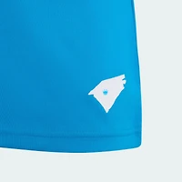 Youth adidas Blue Charlotte FC 2026 Carolina Kit: Crowns Up Replica Jersey