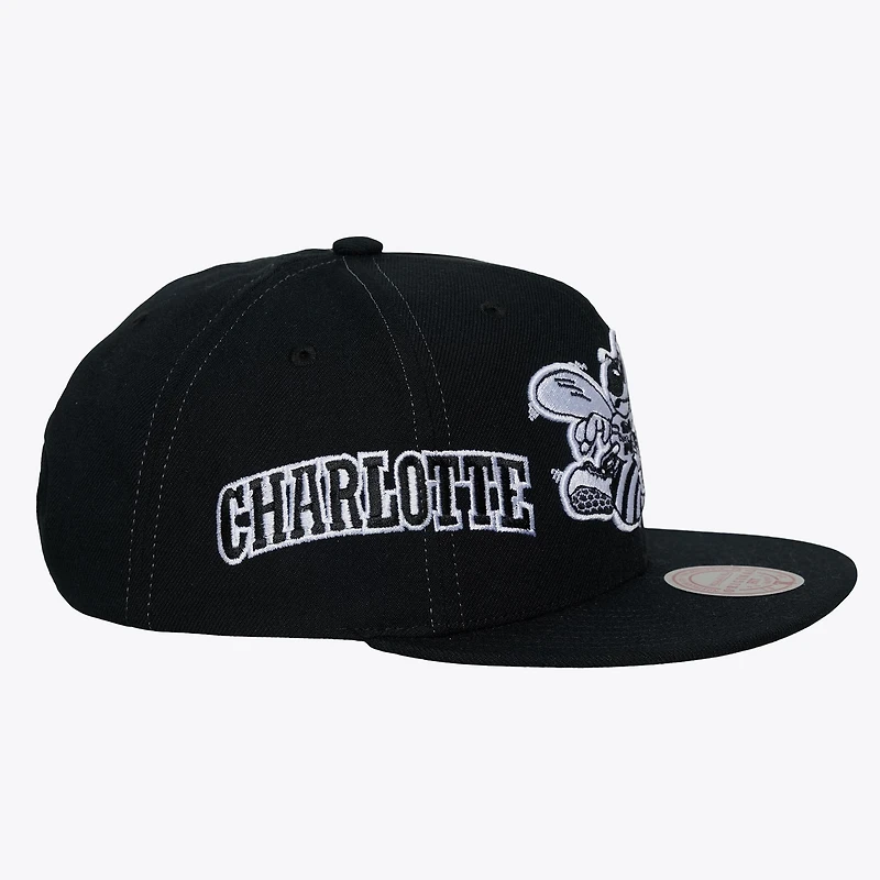 Men's Mitchell & Ness Black Charlotte Hornets Hardwood Classics Trifecta Snapback Hat