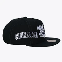 Men's Mitchell & Ness Black Charlotte Hornets Hardwood Classics Trifecta Snapback Hat