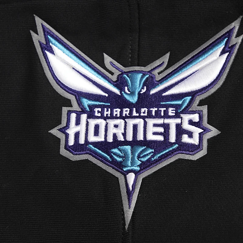 Sweat à capuche noir Pro Standard Charlotte Hornets Script Tail pour hommes