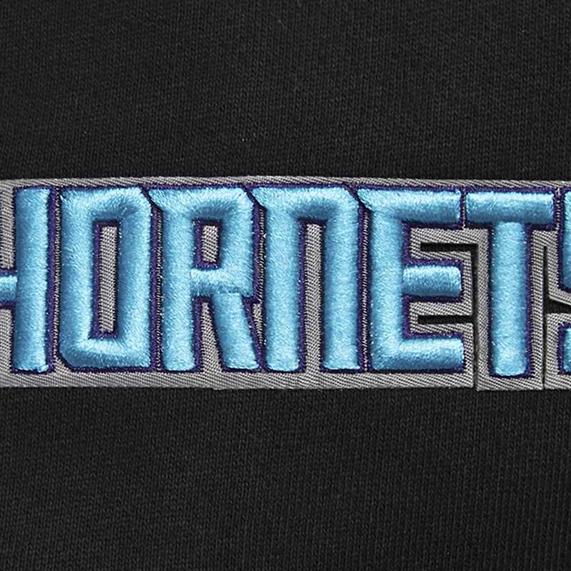 Sweat à capuche noir Pro Standard Charlotte Hornets Script Tail pour hommes