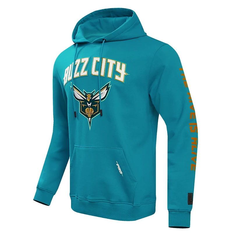 Sweat à capuche Pro Standard pour hommes Charlotte Hornets 2023/24 City Edition, bleu sarcelle