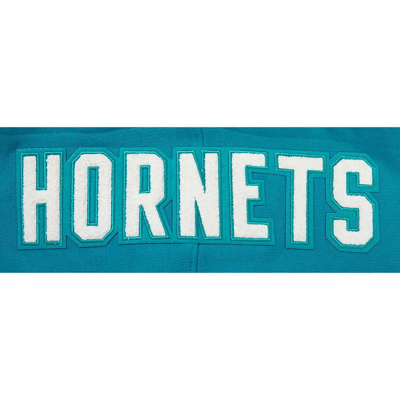 Sweat à capuche Pro Standard pour hommes Charlotte Hornets 2023/24 City Edition, bleu sarcelle