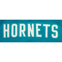 Sweat à capuche Pro Standard pour hommes Charlotte Hornets 2023/24 City Edition, bleu sarcelle
