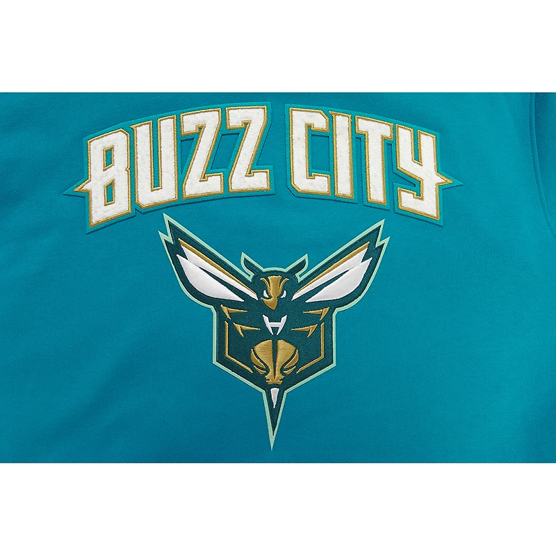 Sweat à capuche Pro Standard pour hommes Charlotte Hornets 2023/24 City Edition, bleu sarcelle