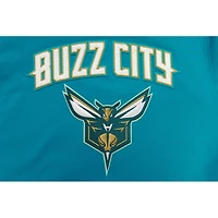 Sweat à capuche Pro Standard pour hommes Charlotte Hornets 2023/24 City Edition, bleu sarcelle