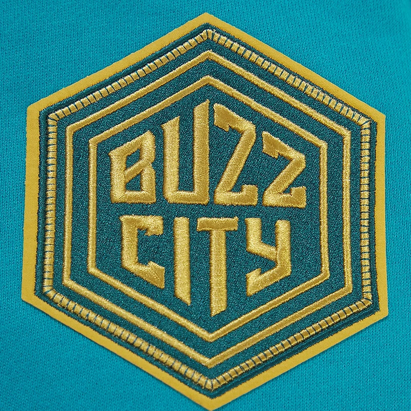 Sweat à capuche Pro Standard pour hommes Charlotte Hornets 2023/24 City Edition, bleu sarcelle