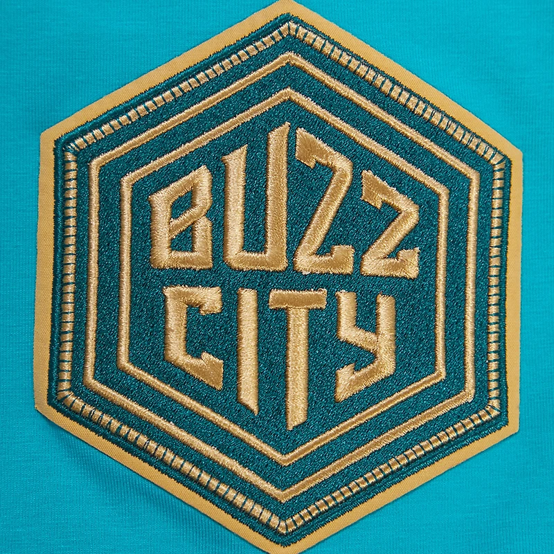 Men's Pro Standard Teal Charlotte Hornets 2023 City Edition T-Shirt