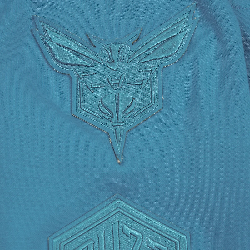 Veste à capuche fermeture éclair intégrale DK Triple Tonal Pro Standard Teal Charlotte Hornets pour hommes