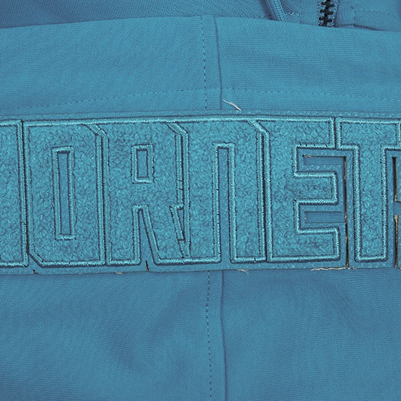 Veste à capuche fermeture éclair intégrale DK Triple Tonal Pro Standard Teal Charlotte Hornets pour hommes