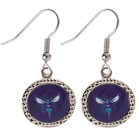 Women's Charlotte Hornets WinCraft Round Dangle Earrings