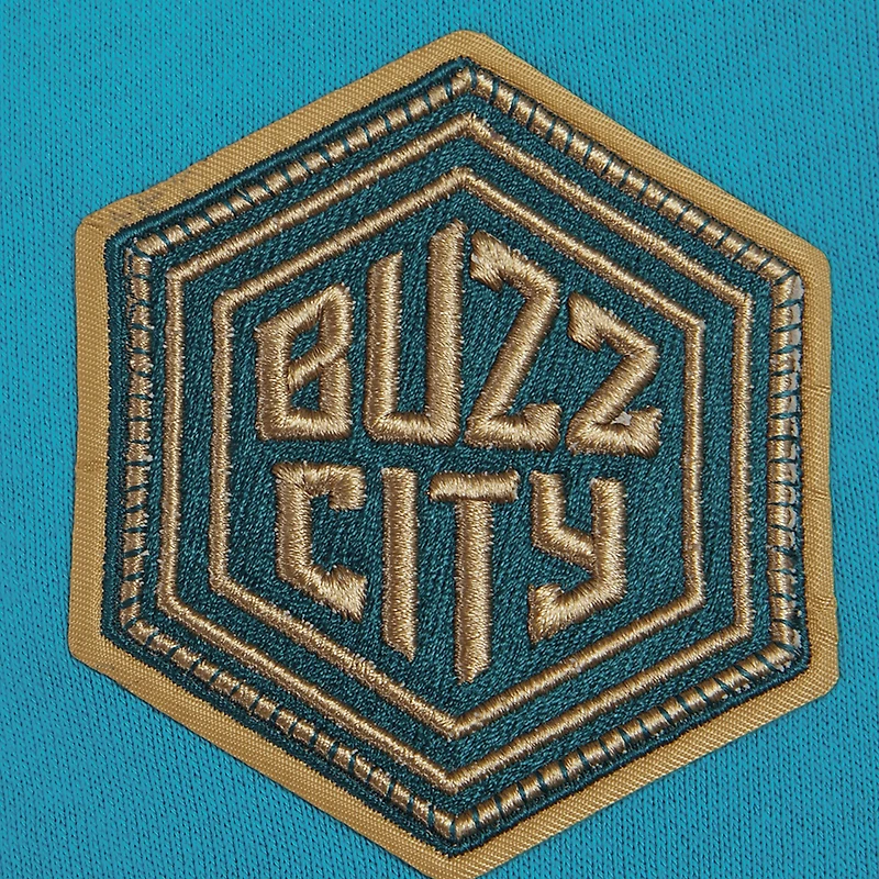 Sweat à capuche court Pro Standard Charlotte Hornets 2023/24 City Edition pour femmes, bleu sarcelle