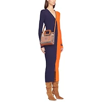 Mini sac Shirley transparent STAUD Chicago Bears pour femme