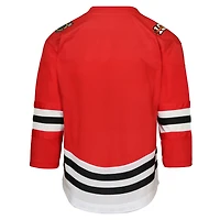 Youth Red Chicago Blackhawks Centennial Replica Jersey