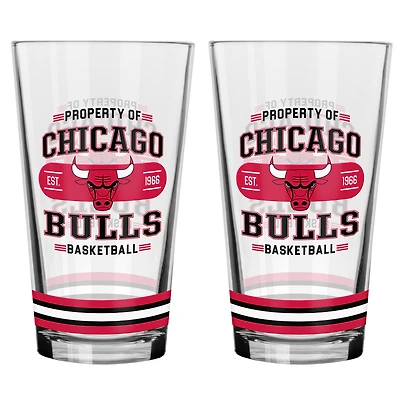 Ensemble de 2 verres à mélange Chicago Bulls