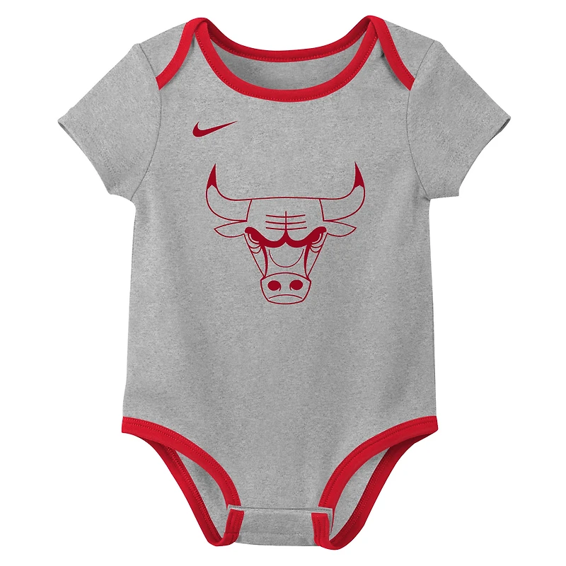 Infant & Newborn Nike Chicago Bulls Two-Piece Bodysuit Set