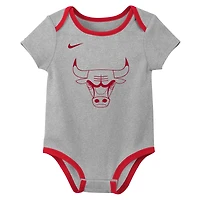 Infant & Newborn Nike Chicago Bulls Two-Piece Bodysuit Set
