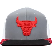 Men's Mitchell & Ness Gray/White Chicago Bulls Day 5 Snapback Hat