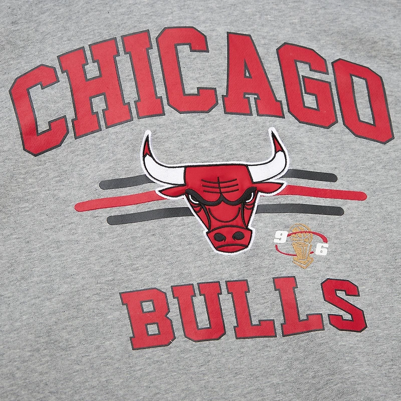 Sweat-shirt à capuche All Over 4.0 Chicago Bulls gris chiné Mitchell & Ness pour homme