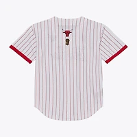 Men's Mitchell & Ness White Chicago Bulls Head Coach Pinstripe Mesh Full-Button Baseball Jersey