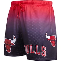 Men's Pro Standard Black/Red Chicago Bulls Ombre Mesh Shorts