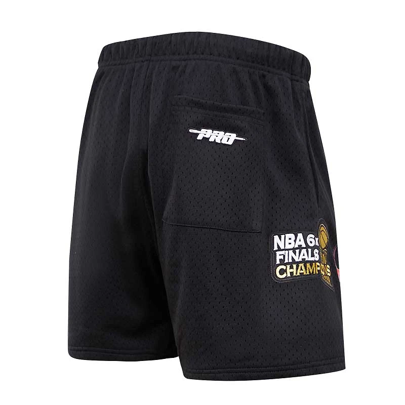 Men's Pro Standard Black Chicago Bulls City Scape Mesh Shorts