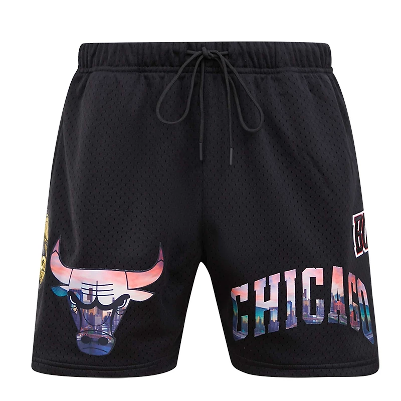 Men's Pro Standard Black Chicago Bulls City Scape Mesh Shorts