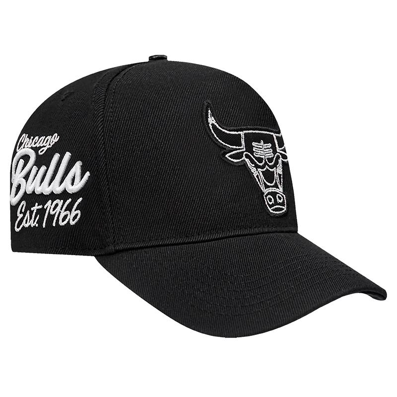 Casquette Snapback Pro Standard noire Chicago Bulls Paint the City Pinch Front pour hommes