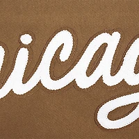 Sweat à capuche épaules tombantes Pro Standard Brown Chicago Bulls Paint the City pour homme