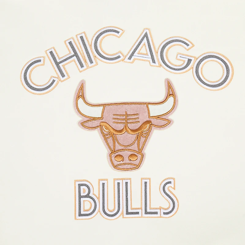 Sweat à capuche pour homme Pro Standard Cream Chicago Bulls 2024/25 City Edition