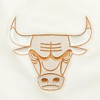 Sweat à capuche pour homme Pro Standard Cream Chicago Bulls 2024/25 City Edition