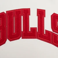 Sweat à capuche Pro Standard crème pour hommes des Chicago Bulls triple ton sur DK