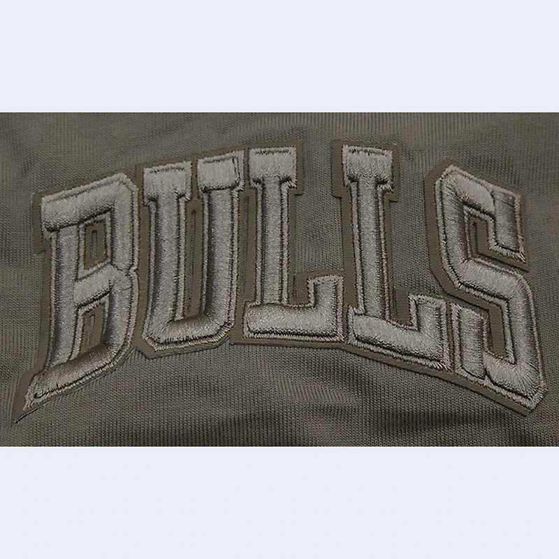 Men's Pro Standard  Gray Chicago Bulls Neutrals Short Sleeve Pullover Hoodie