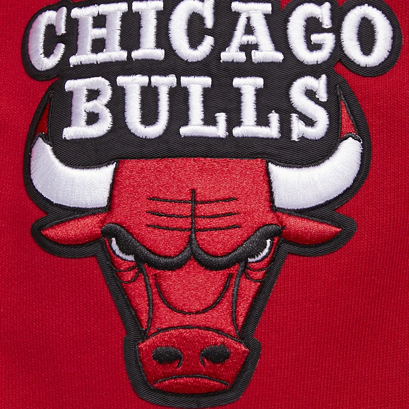 Men's Pro Standard Red Chicago Bulls Script Tail Pullover Hoodie