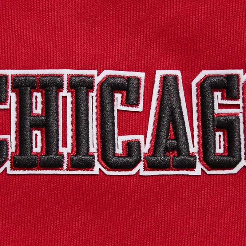 Sweat à capuche Pro Standard rouge Chicago Bulls Script Tail pour hommes