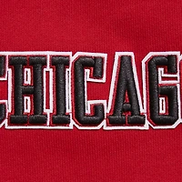Sweat à capuche Pro Standard rouge Chicago Bulls Script Tail pour hommes