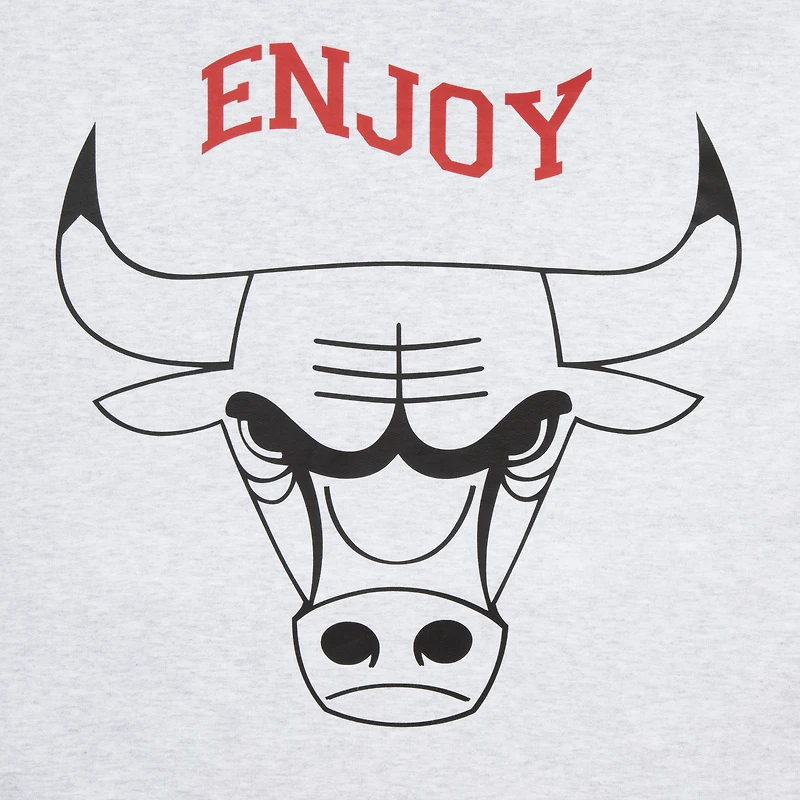 Sweat à capuche unisexe Enjoy Basketball x Chicago Bulls Heather Grey Hoop Enthusiast Capsule Collection