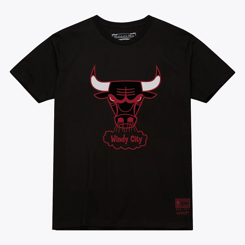 Unisex Mitchell & Ness Black Chicago Bulls Hardwood Classics Arch T-Shirt