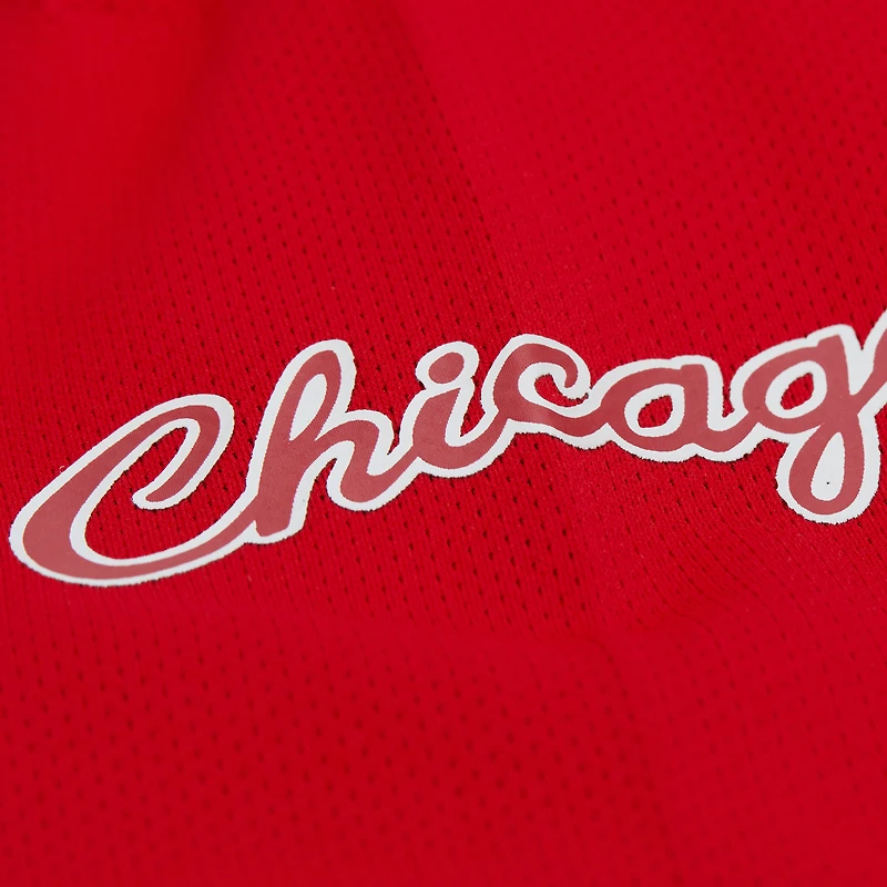 Maillot de hockey unisexe Mitchell & Ness Dennis Rodman Red Chicago Bulls Maxxed Out Fashion