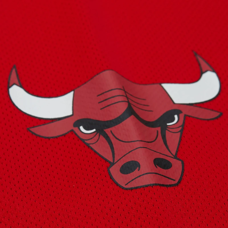 Maillot de hockey unisexe Mitchell & Ness Dennis Rodman Red Chicago Bulls Maxxed Out Fashion