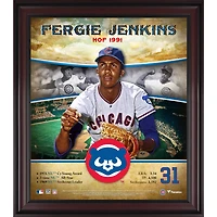 Fergie Jenkins Chicago Cubs Framed 15" x 17" Hall of Fame Career Profile