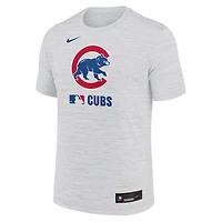 Men's Nike  Ash Chicago Cubs Authentic Collection Velocity Dri-FIT T-Shirt