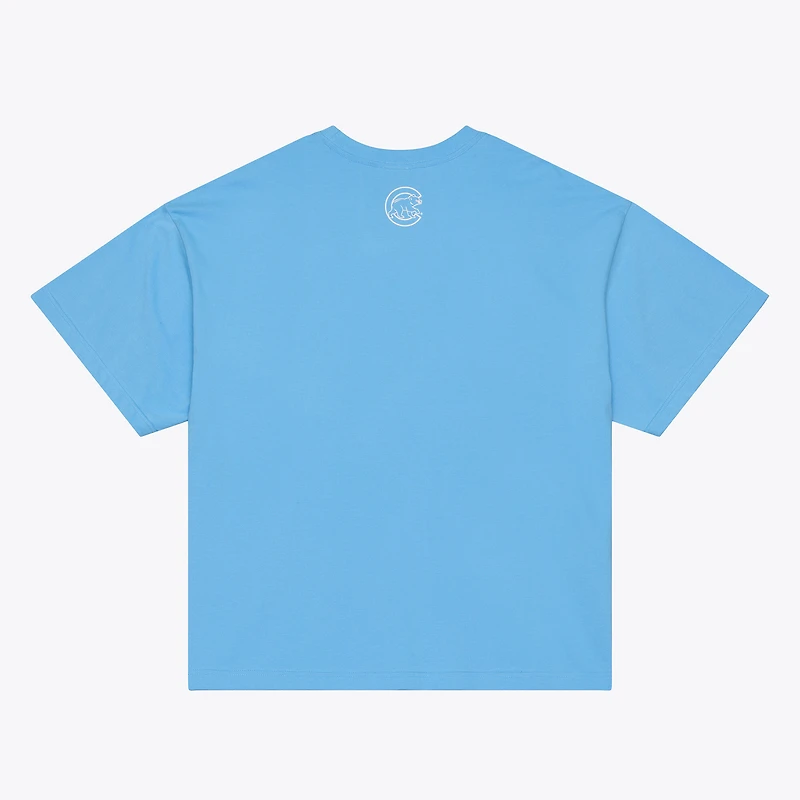 Men's Mitchell & Ness Light Blue Chicago Cubs Insignia Premium T-Shirt