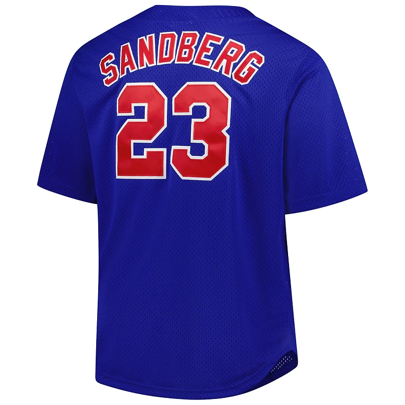 Maillot d'entraînement au bâton Mitchell & Ness Ryne Sandberg Royal Chicago Cubs pour hommes, grandes tailles, Cooperstown Mesh