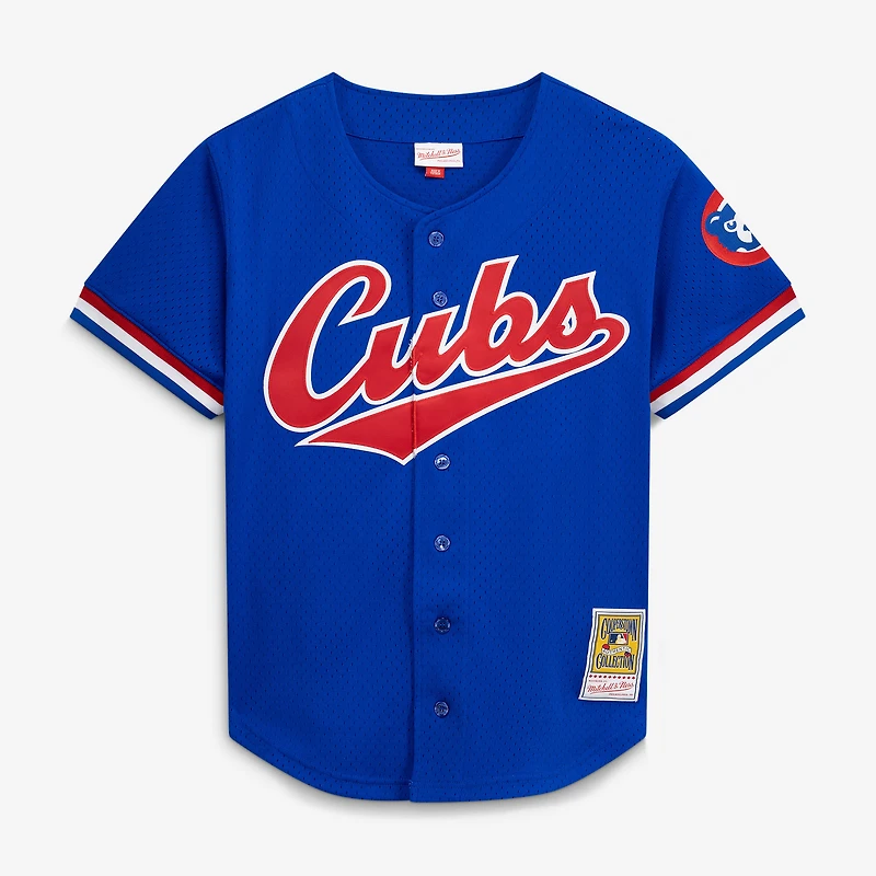 Maillot d'entraînement au bâton Mitchell & Ness Ryne Sandberg Royal Chicago Cubs Cooperstown Collection 1996 pour homme, en maille, à boutons
