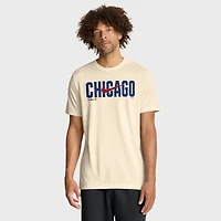 T-shirt Nike Legend Dri-FIT gris chiné Chicago Cubs pour homme