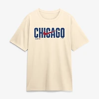 Men's Nike Heather Gray Chicago Cubs Swoosh Legend Dri-FIT T-Shirt