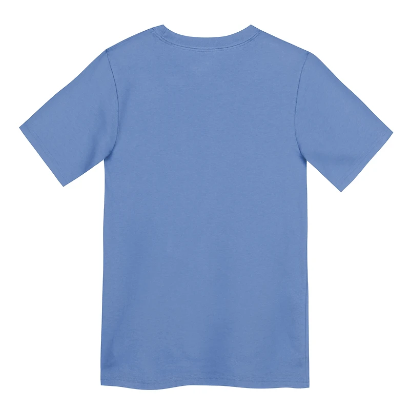 Preschool Nike Light Blue Chicago Cubs Electric Bear Alternate T-Shirt